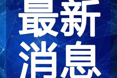 布鲁克最新一代爆料视频,揭秘全新科技与设计突破